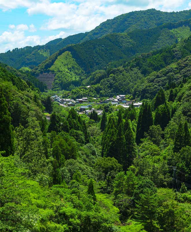 地球環境にやさしく